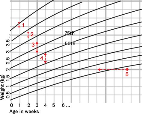 Paediatric Growth Chart Interpretation And Documentation Osce Guide