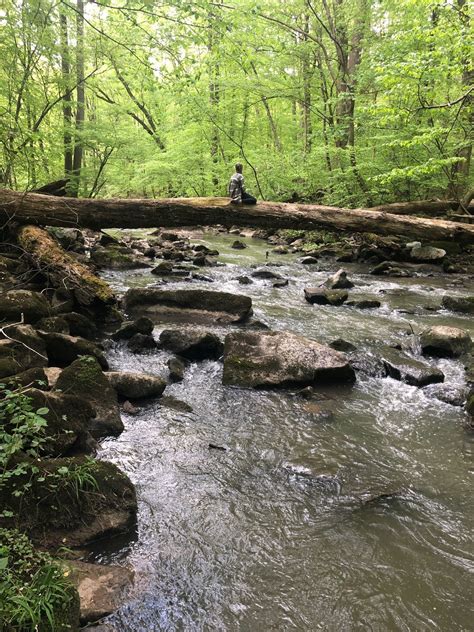 Middle Creek Elders Run Trail Pennsylvania Alltrails