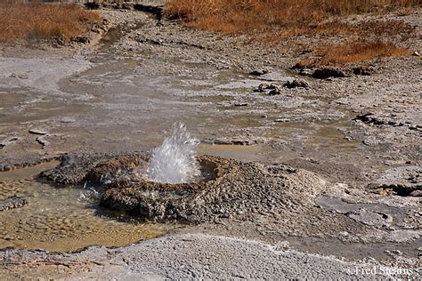 Yellowstone National Park Upper Geyser Basin Geyser Stearns