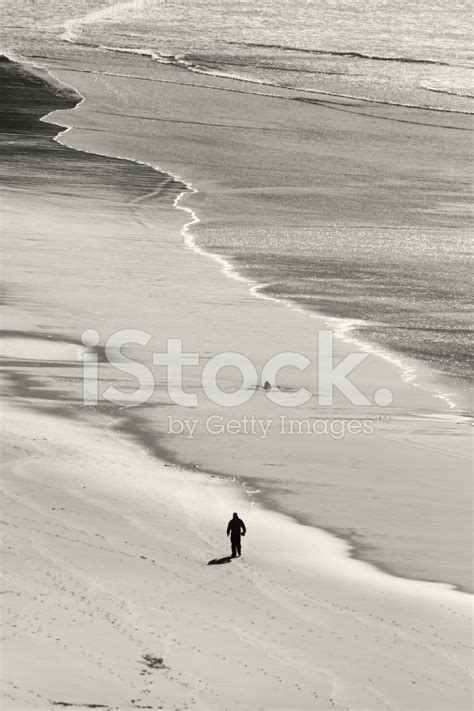 Man On The Beach Stock Photo Royalty Free Freeimages