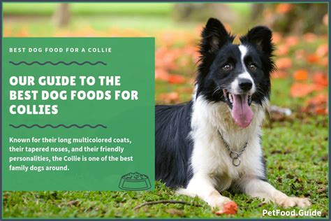 Get 30% off your first autoship order & never run out of your pet's favorites again. 7 Best Dog Foods with Salmon: 2019 Top Rated Salmon Dog Foods