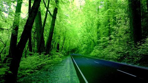 Green Nature Wallpapers Wallpaper 1 Source For Free Awesome