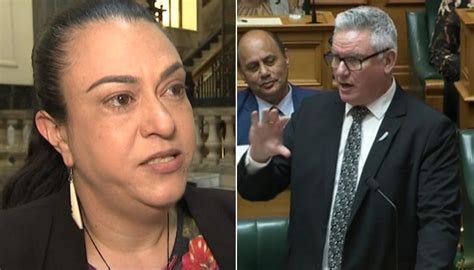 Deputy Labour leader Kelvin Davis tells Māori ACT MP Karen Chhour she