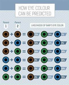 How Eye Color Is Predicted Eye Color Chart Eye Color Chart Genetics