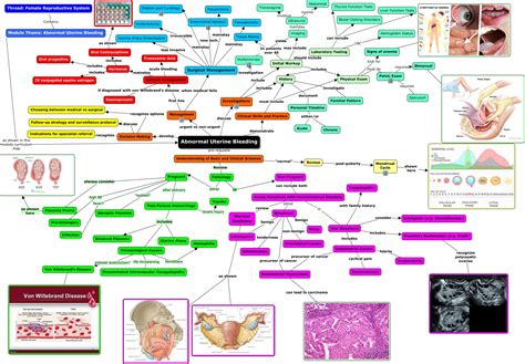 Abnormal Uterine Bleeding Concept Map