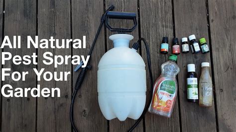 How To Prepare For Pest Control Spray How To Make A Safe And
