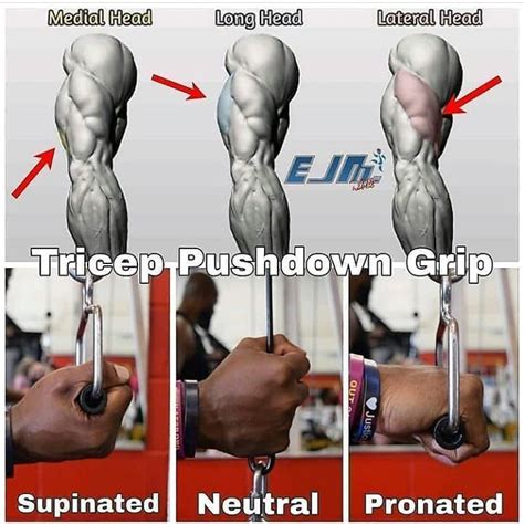 Tricep Pushdown Grip Shoulder Workout Biceps Workout Tricep Pushdown