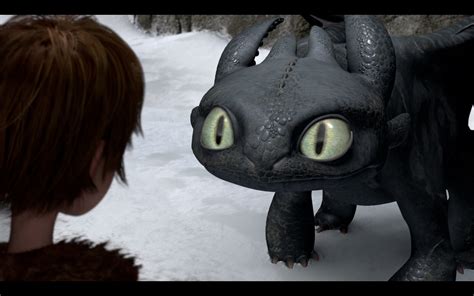 Toothless The Nightfury Blackfish Toothlesss Intelligence And Could