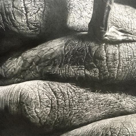 Artists Giant Pencil Drawings Blur The Line Between Hyperrealism And
