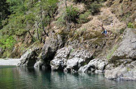 Jumping Into Summer Ziggy Enjoying The Elk River Oregon Jeff