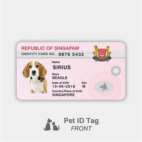 Pet Identity Card Ubicaciondepersonascdmxgobmx