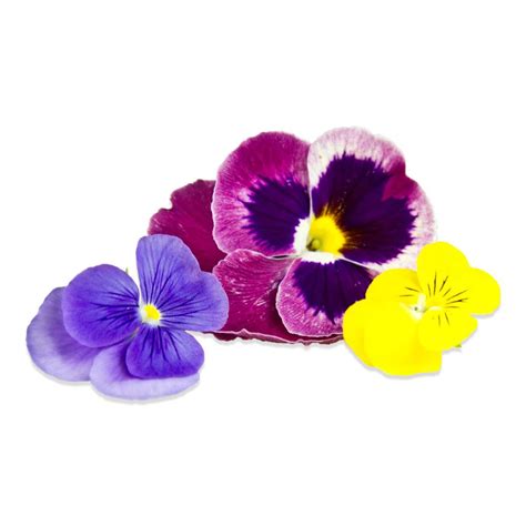 We are in south australia, and last week i phoned through an order for some plants that we have been trying to find for a while. Bulk Edible Pansy Blossoms for Sale | Marx Foods