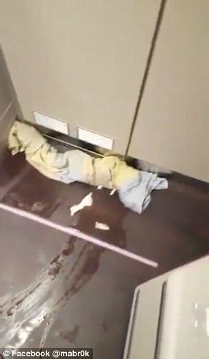 Footage Reveals The Disgusting Condition Of Saudia Airlines Plane On First Flight Daily Mail