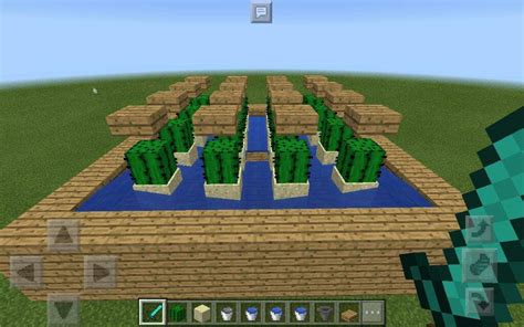 Here are 2 minecraft cactus farm choices that work in minecraft 1.16. Tutorial: How to make a simple cactus farm!🌵 | Minecraft Amino