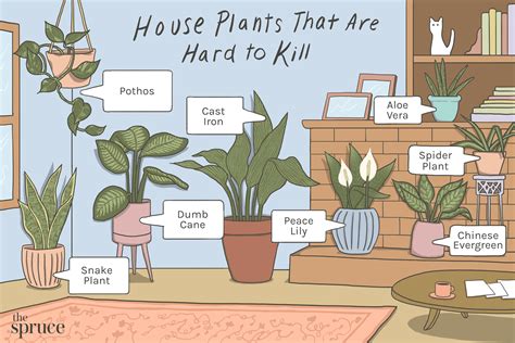 The Best Easy Houseplants To Grow In Any Home