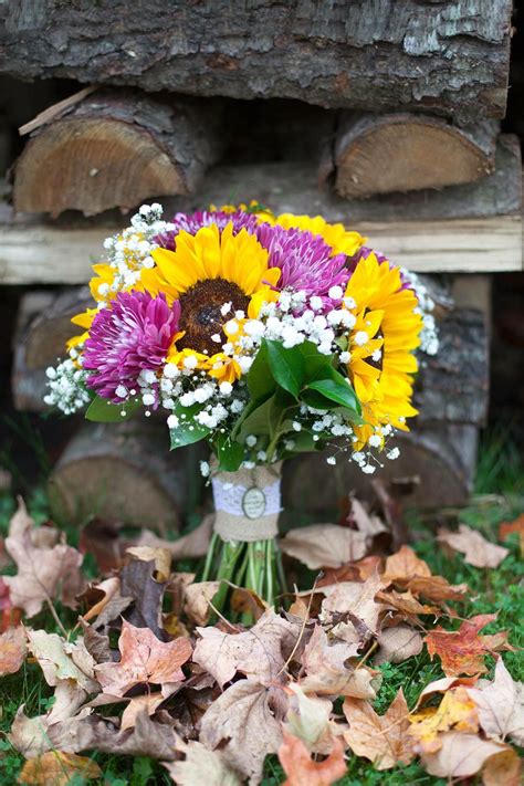 View credits, reviews, tracks and shop for the 2013 cd release of purple mums on discogs. bridal bouquet of sunflowers, dark purple -plum toranado ...