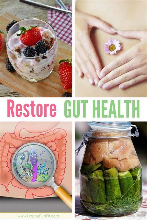 restore gut health gut health improve gut health gut healing diet