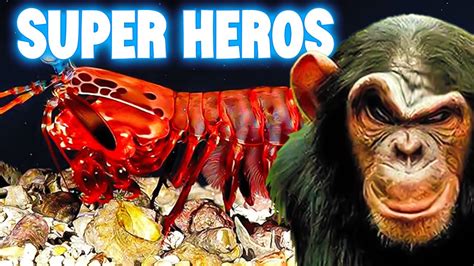 Unbelievable Animal Superpowers The Incredible Abilities Of Natures