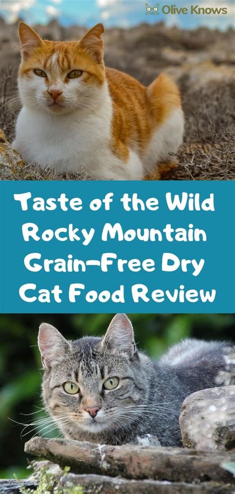 This was a voluntary recall due to potential contamination of its products from reviewing different brands of cat food is essential. Taste of the Wild Rocky Mountain Grain-Free Dry Cat Food ...