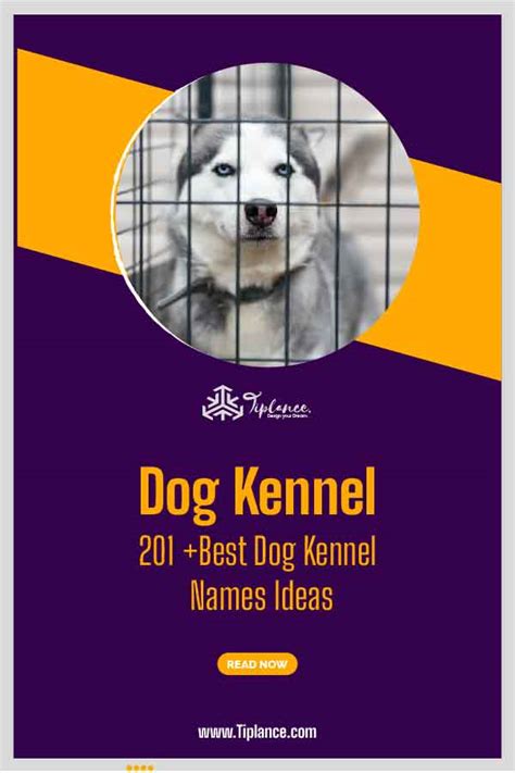 Dog Kennel Names Ideas Tiplance