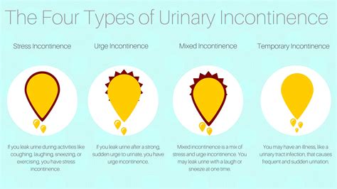 Urine Incontinence Types