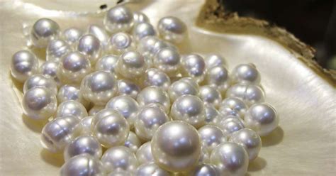 Chasing South Sea Pearls In Broome Australia The National