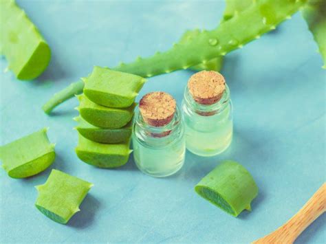 How To Make Aloe Vera Gel From Fresh Aloe Vera Leaves Organic Facts