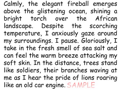 descriptive writing  theme  africa  goughr