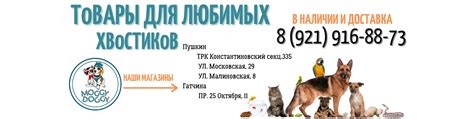 Пушкин.Зоомагазин.Доставка.Зоотовары | Сеть розничных магазинов ...