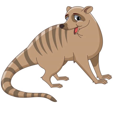 Indian Mongoose Illustrations Royalty Free Vector Graphics And Clip Art