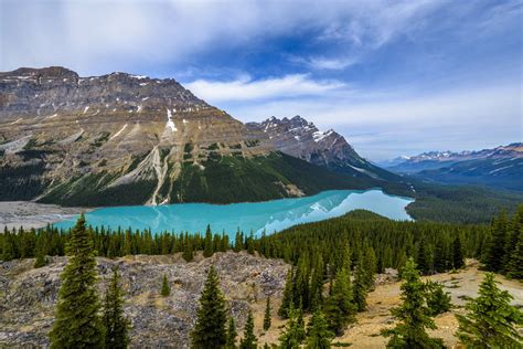 Peyto Lake Overview From Bow Summit Canada