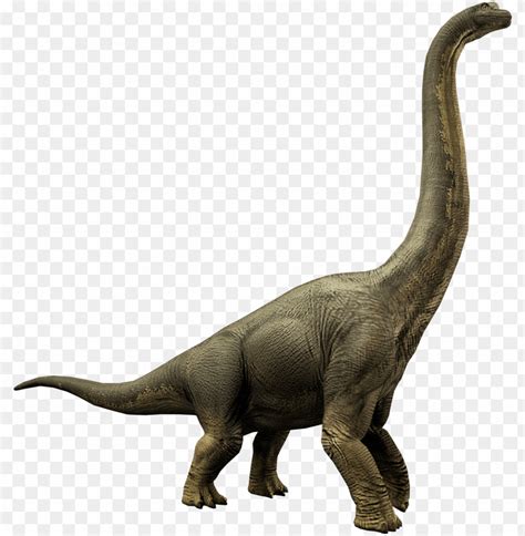 Download Brachiosaurus Jurassic World Alive Wiki Fandom Powered
