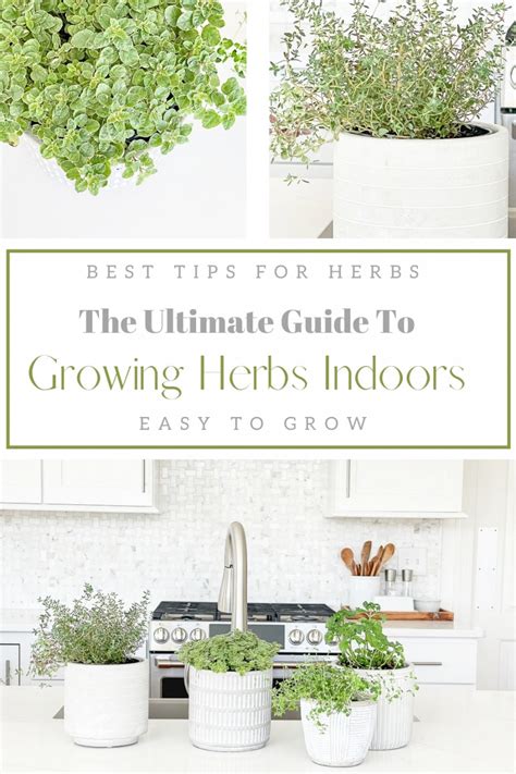Growing Indoor Herbs Can Bring Like And Deliciousness To Your Kitchen
