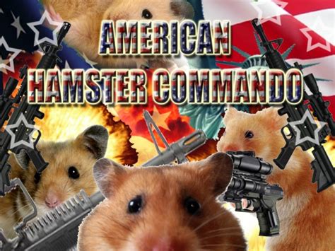 American Hamster Commando Glorious Trainwrecks
