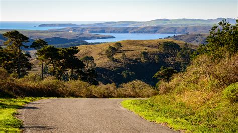Best Hiking Trails In The Bay Area Bay Area Hikes Hiking Trails
