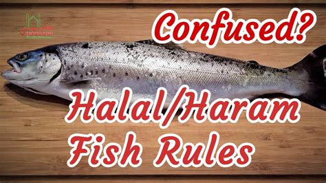 You had to ask from islamic centre that nearest at your place for more details. Halal & Haram Fish Islamic Rules - Ayatollah Sistani - YouTube
