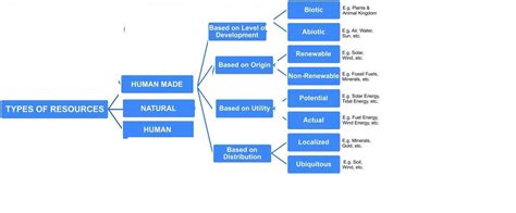 Draw The Flow Chart On Classification Of Resources