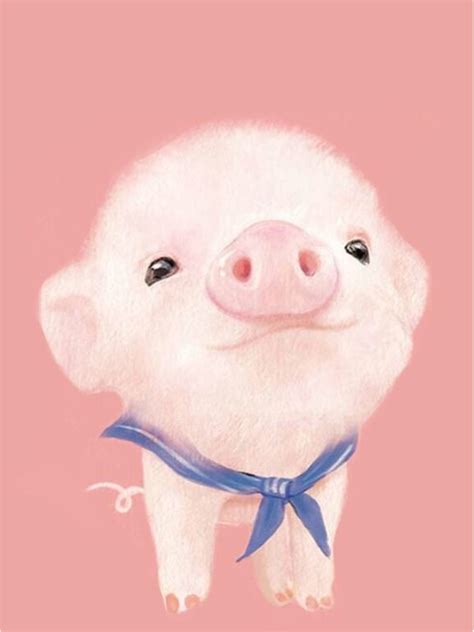 Cute Pig Wallpapers Top Free Cute Pig Backgrounds Wallpaperaccess