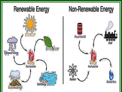 Renewable Resources Renewable Resources Definition And Examples