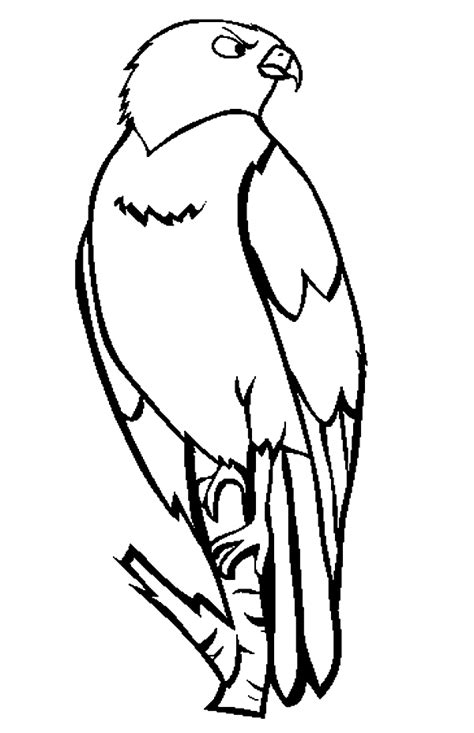 hawk coloring pages    print