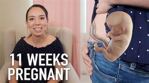 11 WEEKS PREGNANT SYMPTOMS AND CRAVINGS PREGNANCY UPDATE YouTube