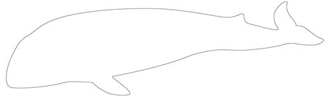 Whale Template Printable Whale Outline