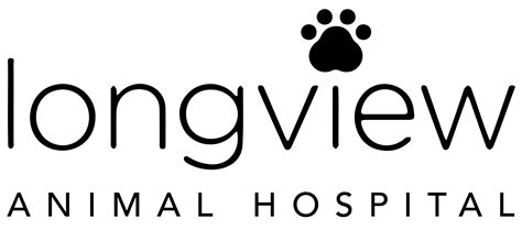 Longview Animal Hospital American Veterinary Group