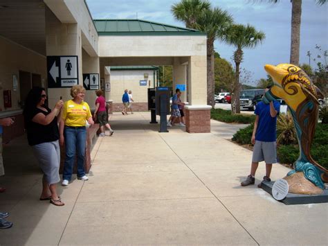 Clearwater Dolphins Find New Home At Florida Welcome Centers — Sunshine