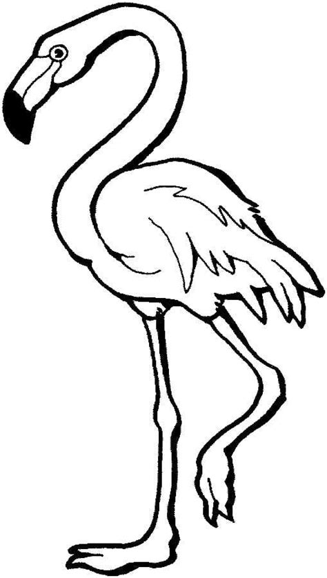 Flamingo Para Colorir Criando Com Apego