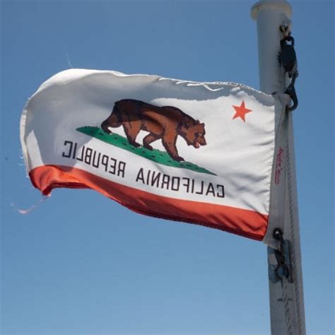 To get this certification, you need: How To Become A Certified Welder In California? - All Facts