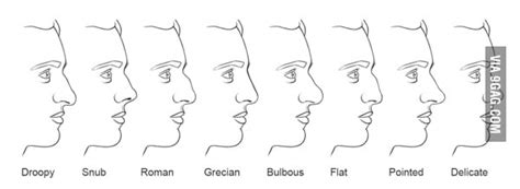 Whats Your Nose Type Mine Is Grecian 9gag
