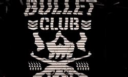 Bullet Club Logo Gif Bullet Club Logo Njpw Pro Wrestling