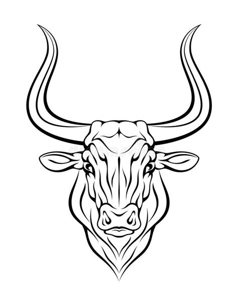 Bull Head Stock Vector Illustration Of Herbivorous Front 29368028