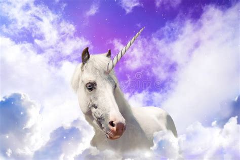 Magic Unicorn In Beautiful Sky With Rainbow And Fluffy Clouds Fantasy